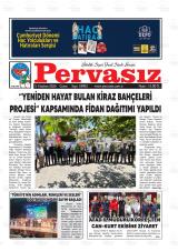 PERVASIZ