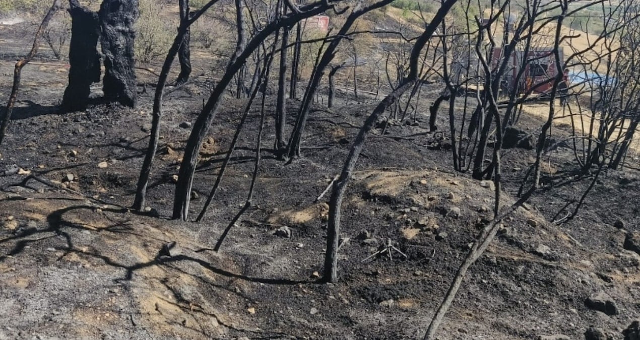 Nevşehir’de ağaçlık alanda yangın: 100 dönüm arazi kül oldu