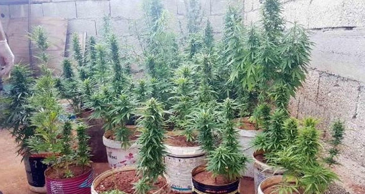 Sakarya Geyve’de uyuşturucu operasyonu